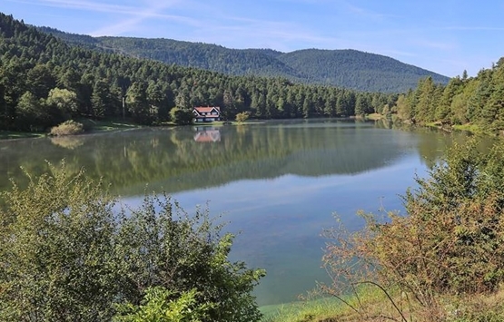 Gölcük Tabiat Parkı’nda terk edilen 25 bungalov ev ne olacak?