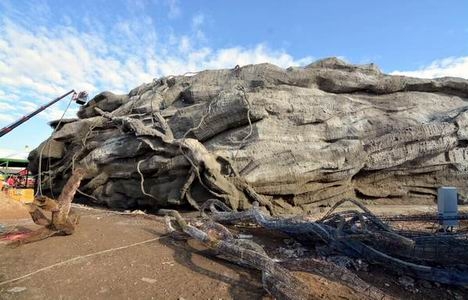 Ankapark Ankara projesinde son durum böyle!