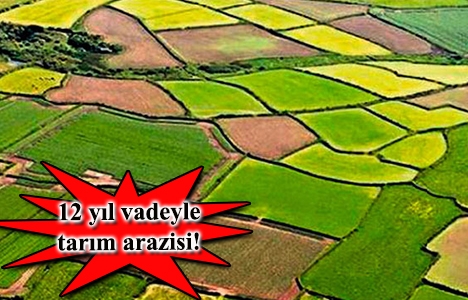 Tarım arazilerinin satış süresi 6 ay daha uzatılacak!