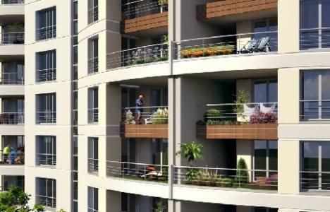 Nuvo Dragos resimleri!