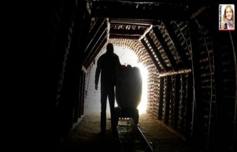 Hattat Holding'in Amasra projesini ÇED raporu durdurdu!