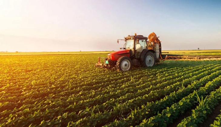 Hayvan yetiştiricileri bu habere mutlaka bakın! Küçükbaş hayvancılıkta devlet güvencesi! 
