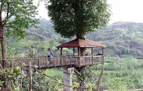 Karadeniz usulü serender!