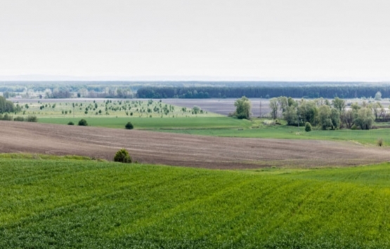 Batman da 17.8 milyon TL ye icradan satılık arsa!