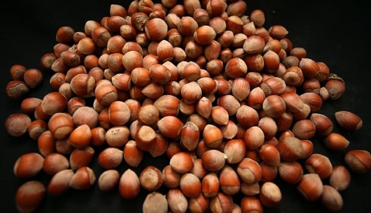 Baltacı Fındık Gıda ve ortaklarının geçici konkordato süresi 2 ay uzatıldı!