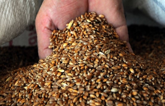 Ukrayna Rusya savaşı gıdayı vurdu! Fiyatlar rekor kırdı!