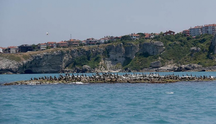 Üsküdar Belediyesi, Şile'deki konut imarlı arsayı satıyor! Arsa arayanlar şimdi bakın!