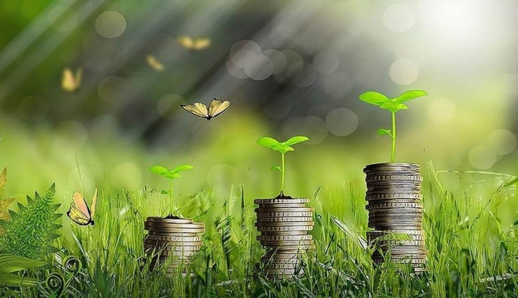 Dünya Bankası, Türkiye deki şirketlerin yeşil dönüşümü için 155 milyon dolarlık krediyi onayladı!