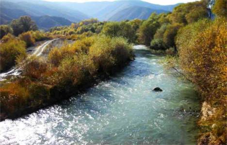 Devrez Çayı can çekişiyor!