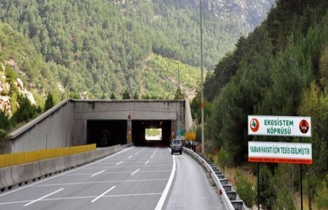 3. köprü yollarına 'ekolojik köprü' şartı geldi!