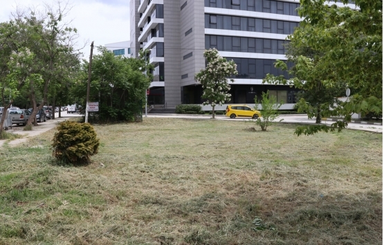 Park alanının imara açılmaması için mücadele veren Kıymet Teyze hayaline kavuştu!