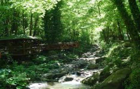 Polonezköy'e botonkent mi geliyor?