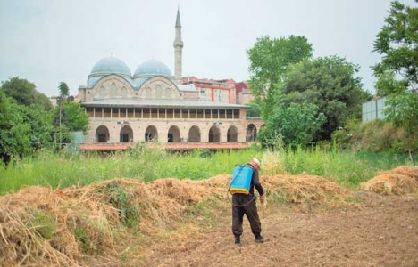 Piyalepaşa Bostanı'na otopark mı yapılacak?