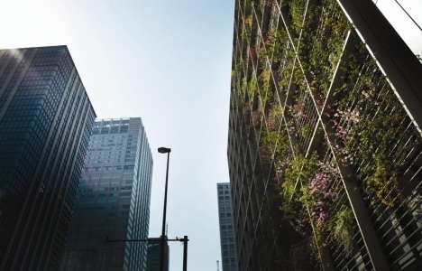 Doğadan uzak ofisler çalışanların sağlığını olumsuz etkiliyor!