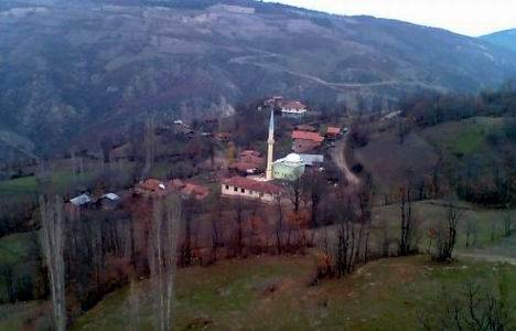 Samsun Vezirköprü Beşpınar HES projesi için acele kamulaştırma yapılacak!