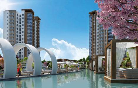 Beylikdüzü Demir Romance resimleri!