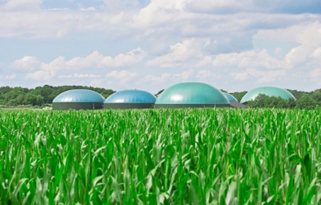 TOKİ destekli besi çiftlikleri