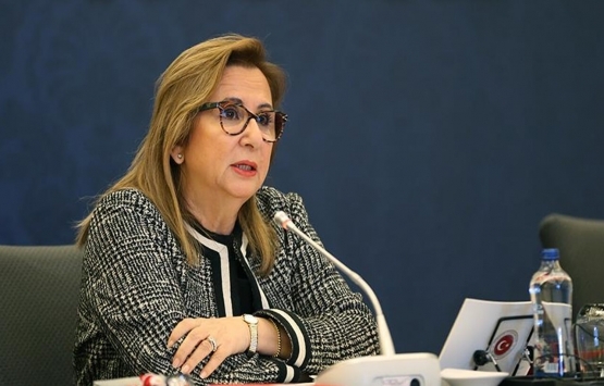 Ruhsar Pekcan kimdir?