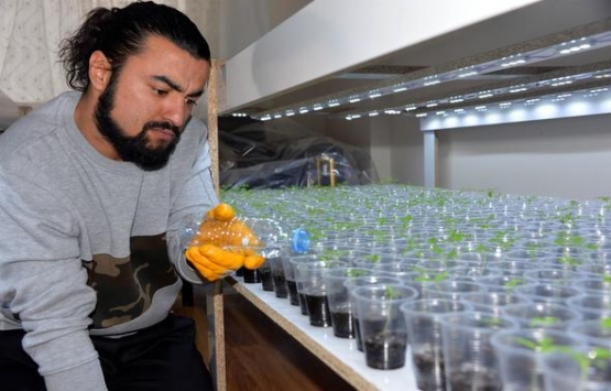 Evinin salonuna kendi serasını kurdu!