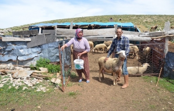 Antalya da Yörükler yaylalara taşınıyor!