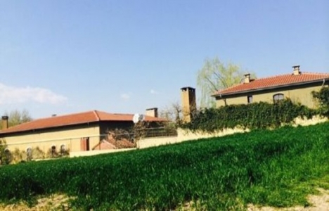 İşte çiftlik yaşamını seçen ünlüler!