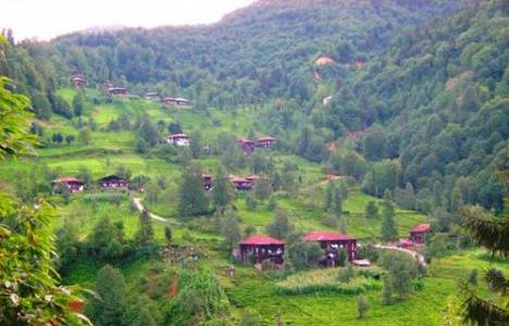 Köy yerleşik alanında ifraz ve yapılaşma şartları neler? İşte yayınlanan duyuru!