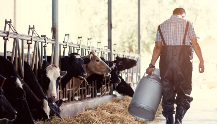 Maliyetler yükselince sektör yetkilileri uyardı! Kriz olması çok yakın!