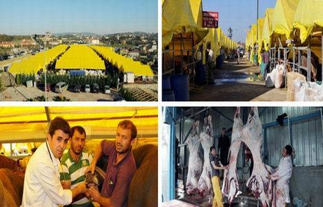 Beykoz Kurbankent, Kurban Bayramı'na hazır!