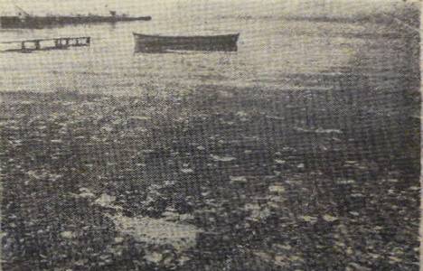 1948 yılında İstanbul sahilleri çöp deryasına dönmüş!