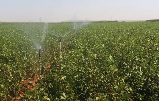 Tarım ve sulamaya 57,5 milyar lira kaynak sağlandı!