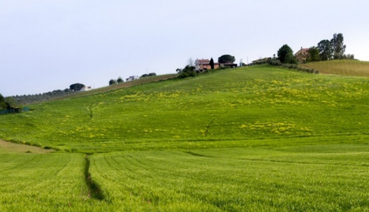 Milli Emlak iki şehirde taksitle arsa ve arazi satıyor! 127 bin TL’den başlayan fiyatlarla!