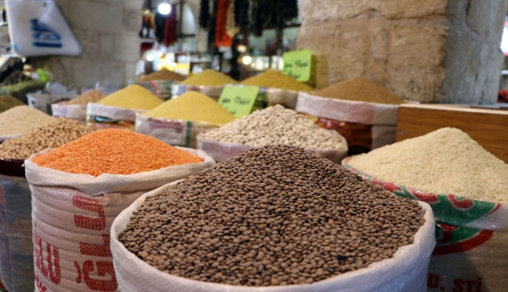 Akdeniz den 9 ayda rekor hububat ve bakliyat ihracatı