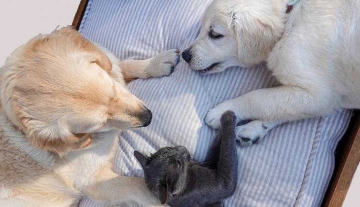 Kiracıların ev sahiplerine sorması gereken 7 çok önemli soru!