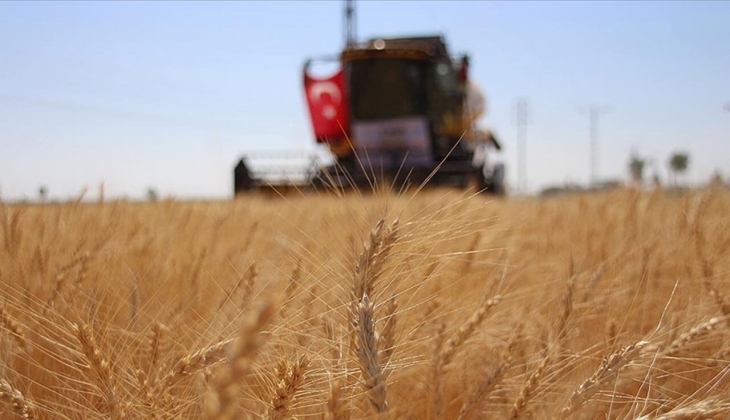 Rusya, Ukrayna limanları ile Tuna Nehri depolarını vurdu! Tahıl fiyatları uçtu: Buğday yüzde 6 primlendi!