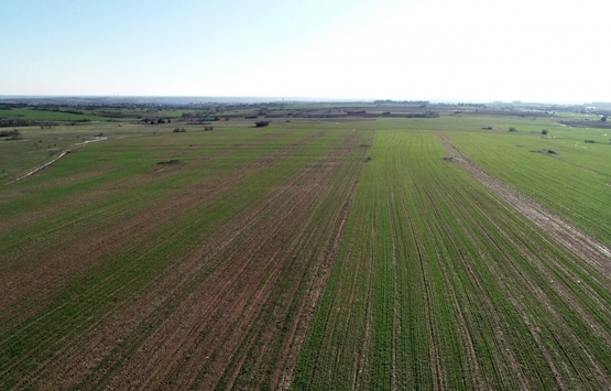 Mersin Mezitli de TOKİ ye devredilen araziler meclis gündeminde!