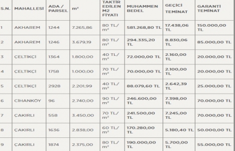 Bursa Orhangazi de 23,7 milyon TL ye satılık 19 adet gayrimenkul!