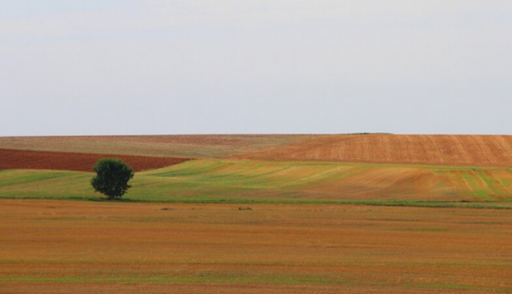 Belediyeler Bursa ve Sinop’ta 125 adet arsa satıyor! Tarihler açıklandı