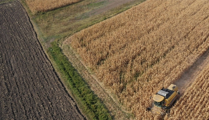 Mısırda taban fiyat 10 TL olacak mı? Çiftçiler dikkat! 
