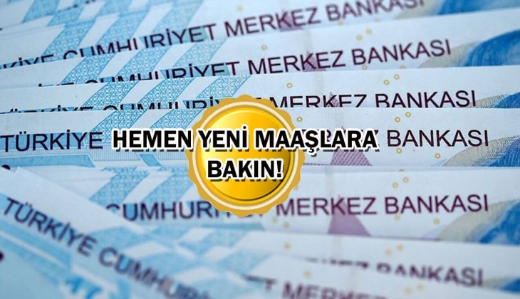 65 yaş aylığı, engelli aylığı, evde bakım parası yeni zamla kaç TL olacak? Resmen hesaplandı! Hemen bakın! 