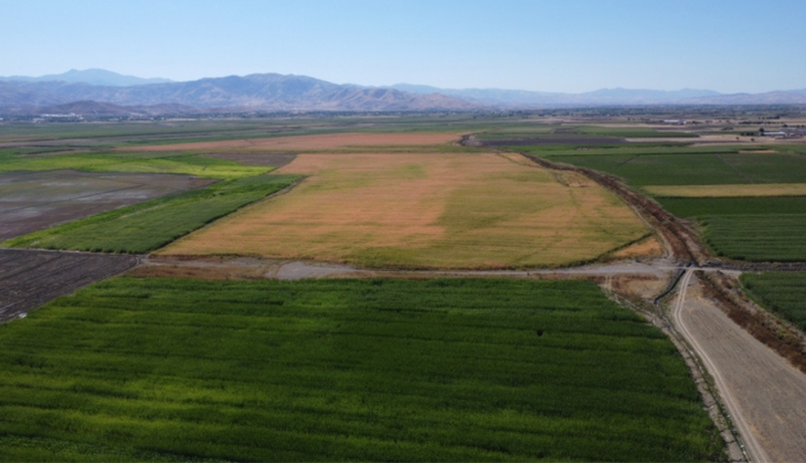 Tarım Bakanlığı’ndan yıllardır beklenen müjde! Arazi sahipleri turnayı gözünden vurdu! Resmi Gazete’de yayımlandı!