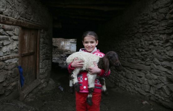 Bitlis Hizan ın ilginç taş evleri!