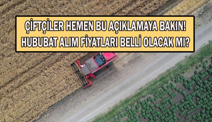 Hububat alım fiyatları ne zaman açıklanacak? Çiftçiler dikkat! TMO fiyatları erken duyuracak mı?