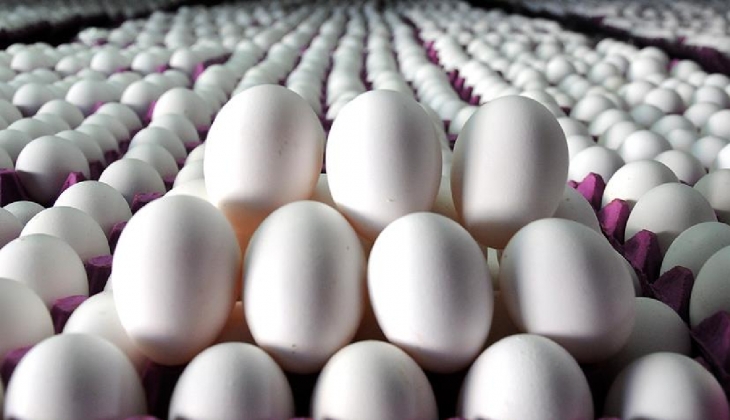 Beyaz et üretimindeki sert düşüş fiyatlara nasıl yansıdı?