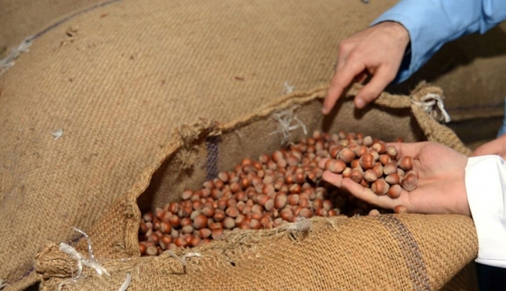 Fındık fiyatlarında flaş gelişme! Fındık alım fiyatı açıklandı mı? Bugün fındık kaç lira? 29 Temmuz 2022 fiyat listesi..