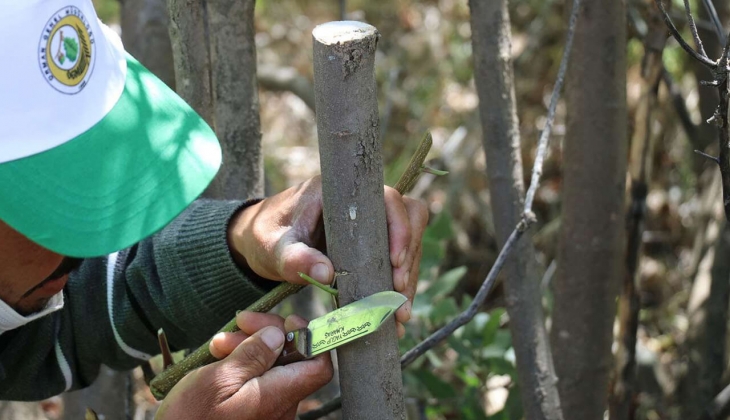 İş arayanlar dikkat! Orman Genel Müdürlüğü çok sayıda işçi alıyor! Son başvuru 6 Ocak 2023!