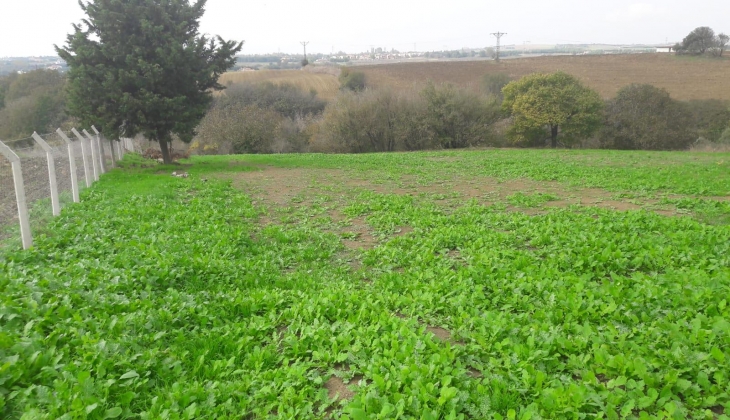 Arsa payı karşılığı inşaat sözleşmesi nasıl yapılır?