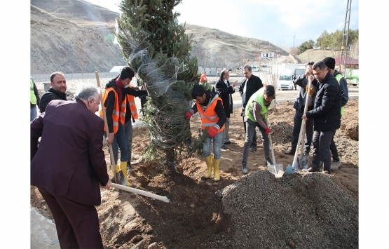 Bitlis Ahlat Millet Bahçesi Haziran da tamamlanacak!