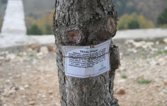 Bursa da kaçak ev oyunu yıkımla bitti!