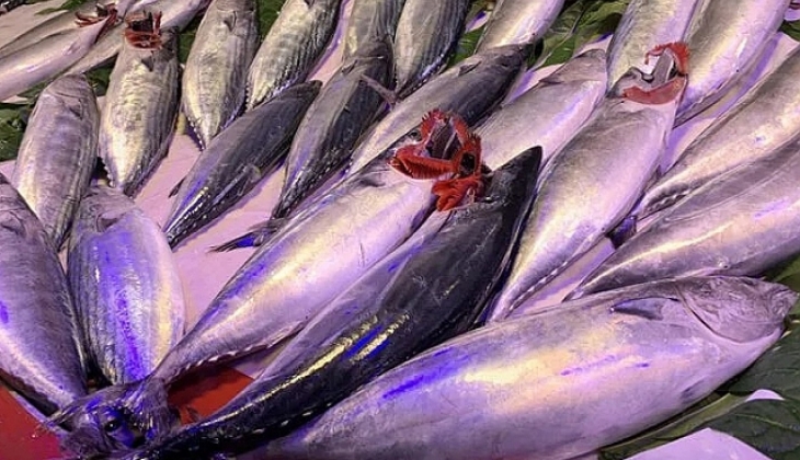 Fiyatı düştükçe düşüyor! Etiketi görenler kasa kasa alıp buzluğa atıyor!