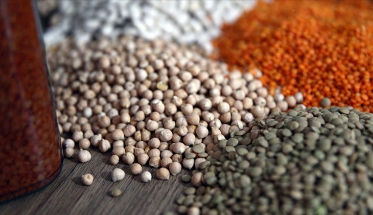 Hububat ihracatı yılın ilk dokuz ayında 25,6 artış gösterdi!